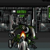 alien vs predator