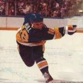 brett hull hockey